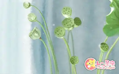 整天幻想入贅豪門的生肖男