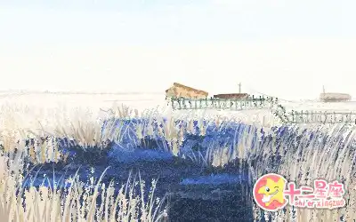 對所想要做的事情往往堅持不下來的生肖女