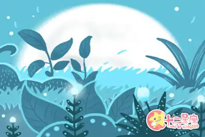 哪些生肖女會是金剛芭比娃