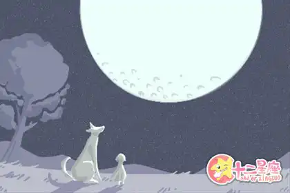 生活中總是被人無辜組cp的生肖