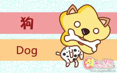 這樣的生肖男最受女生的追捧