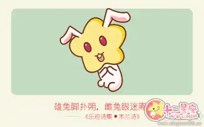 具有異國風情魅力的生肖女