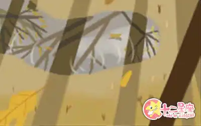 不僅插科打諢還不思進取的生肖男