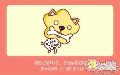 具有異國風情魅力的生肖女