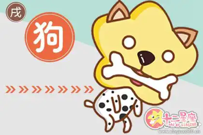 很佛性 接觸外界時會帶著虔誠心態的生肖