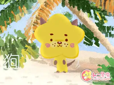 會為對方的標準而去努力靠近的生肖女