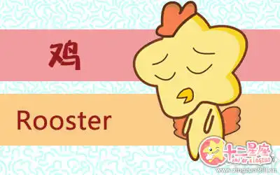 分手就會取關對方的生肖女