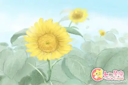 愛情保質期是一輩子的生肖女
