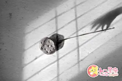 只喜歡和比自己差的人一起玩的生肖女