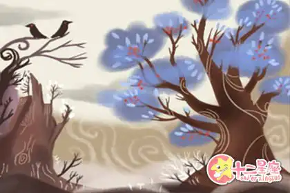 強迫是美德，這些生肖就是愛追求完美