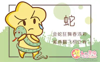 能遊刃有餘的處理各種交際關係的生肖