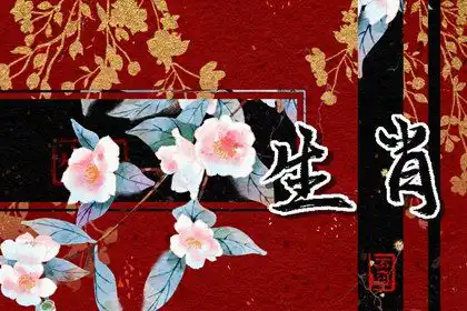 收男人魂的生肖女 充滿魅力的女屬相