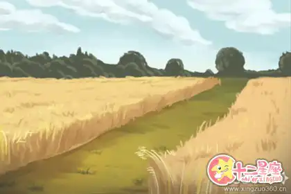 精打細算，這些生肖網上購物總得挑半天