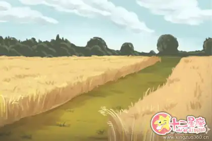 精打細算，這些生肖網上購物總得挑半天