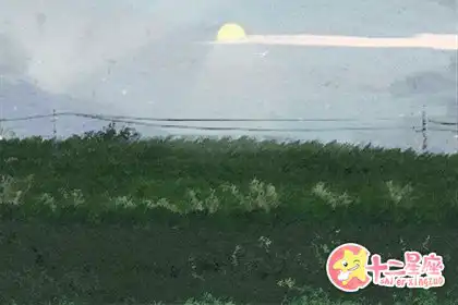 隨便一拍都是大片的生肖女