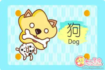 外強中乾 實力不足的生肖