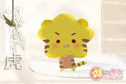 這些生肖的人總是盲目自信