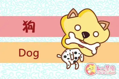 做事風格沉穩 失誤率極低的四大生肖