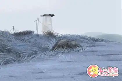 感情一旦出現裂痕就會直接分手的生肖男