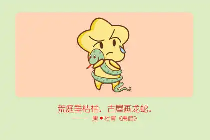 總是喜歡追逐熱點 緊跟潮流的生肖