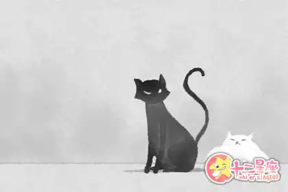 無論工作怎麼努力 總是被排擠的生肖