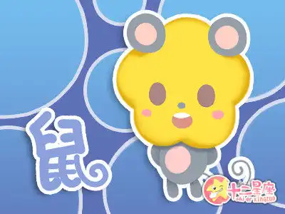 一廂情願卻有始無終的生肖女
