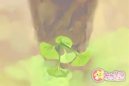 每次吵架總是會先開口的生肖女