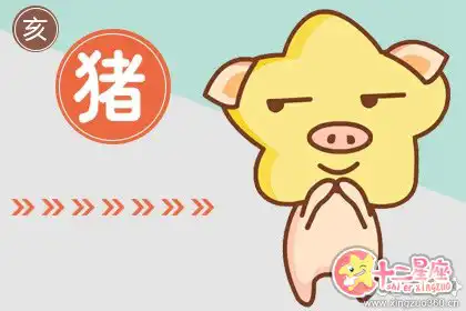 很理性 考慮情感問題很慎重冷靜的生肖