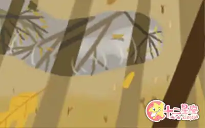 不僅插科打諢還不思進取的生肖男