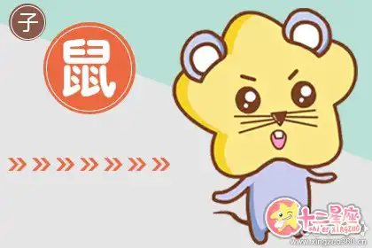 很理性 考慮情感問題很慎重冷靜的生肖