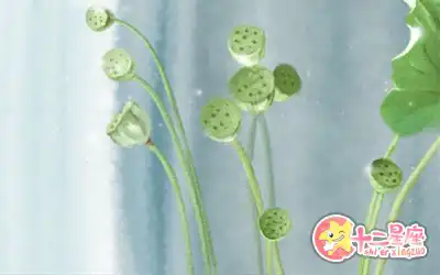 整天幻想入贅豪門的生肖男