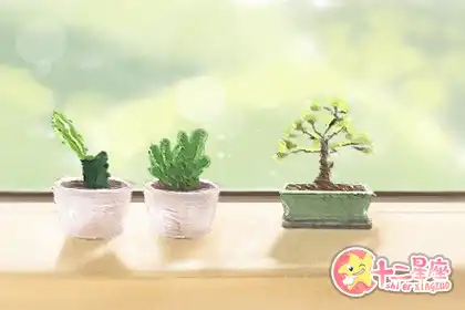 天生愛操心的生肖女有哪些