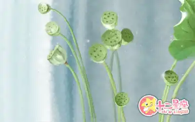 不知反省死性最難改的生肖排行