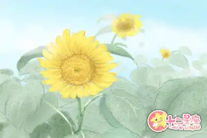 對別人要求特別高對自己就敷衍了事的生肖
