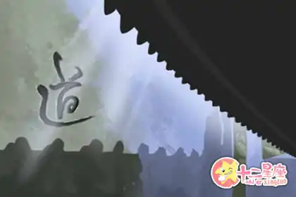 最愛湊熱鬧，追尾還圍觀的生肖