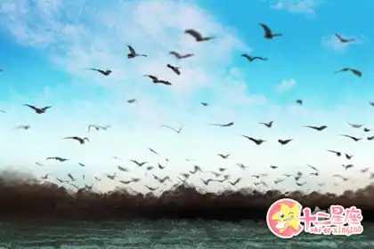 工作效率高能夠出色完成任務的生肖