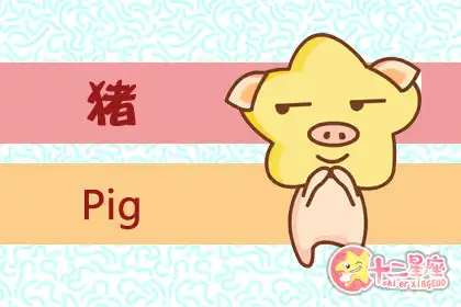 喜歡和老人聊天 從善如流的生肖