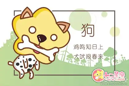 婚戀市場上最成功的四大生肖男