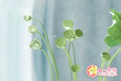 外剛內柔，這些生肖心腸最軟