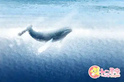 只要一個眼神＿這些生肖就知道你要做什麼