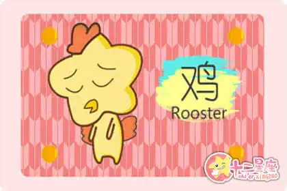 一直都在想 卻永遠不去做的生肖