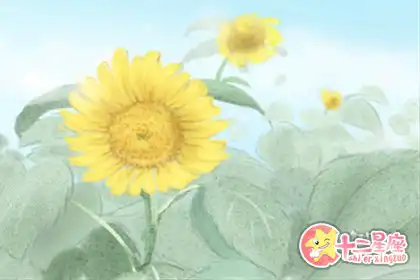 這些生肖對每個人都心懷善意