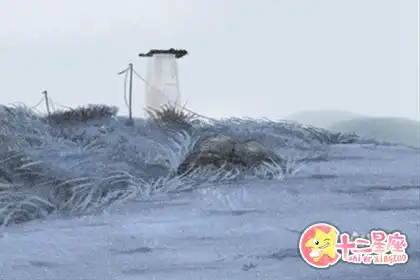 總是默默對別人好卻總是被誤會的生肖女