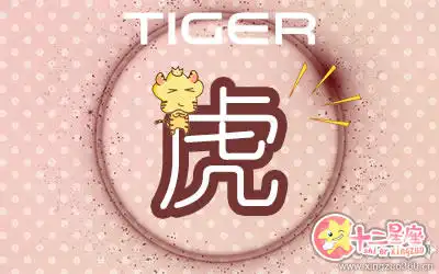 這五大生肖對付情敵會耍什麼心機