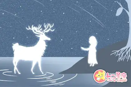 不是靠美貌和身材圈粉的生肖女