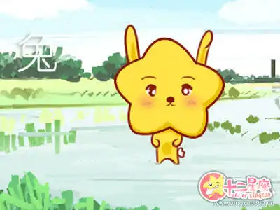 交往中懂得憐香惜玉的生肖男