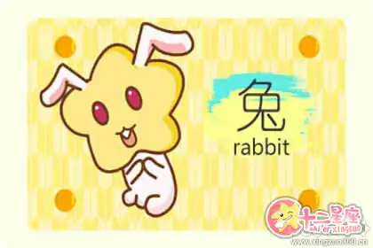 外強中乾 實力不足的生肖