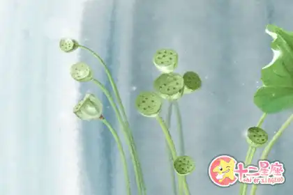 愛與不愛？這些生肖全憑一句話