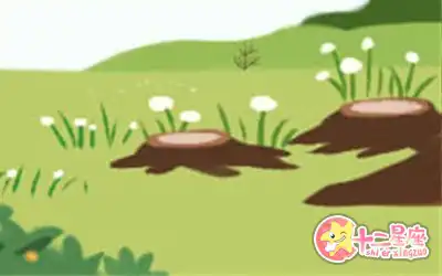 哪些生肖男視尊嚴比生命還重要