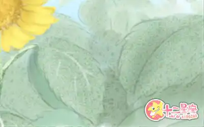 受了傷就愛找人發洩的生肖有哪些